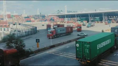 Zuverlässige Zollabfertigung vom Hafen 선전 광저우 닝보 상하이 샤먼 텐진 칭다오
