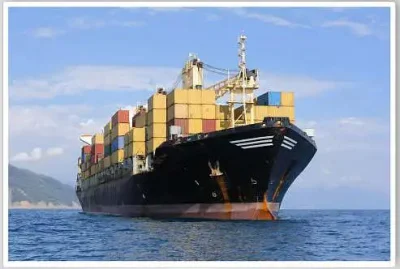 국제 배송 대리점 서비스 중국에서 미국으로의 화물 운송업체 해상 화물